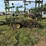 john-deere-field-cultivator-image-2