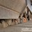 2019-caterpillar-336-image-13