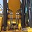 2019-caterpillar-336-image-26