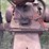 gibson-image-31