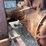 fordson-roller-image-82