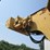 pettibone-12-image-25