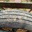 #54404-•-13'-chisel-inv#54404-image-6