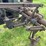 rumely-doall-image-21