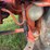 allis-chalmers-model-b-image-34