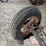 fordson-image-11