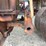 fordson-roller-image-31
