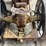 fordson-roller-image-77