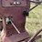 gibson-image-35