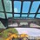 2022-caterpillar-259d3-image-26