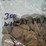 #00632-•-(300)-wheat-pennies-image-7