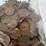 #00631-•-(300)-wheat-pennies-image-21