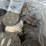 #00629-•-(100)-ike-dollars-image-5