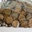 #00626-•-(300)-wheat-pennies-image-5