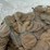 #00626-•-(300)-wheat-pennies-image-18