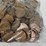 #00626-•-(300)-wheat-pennies-image-4