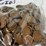 #00631-•-(300)-wheat-pennies-image-11