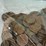 #00632-•-(300)-wheat-pennies-image-17