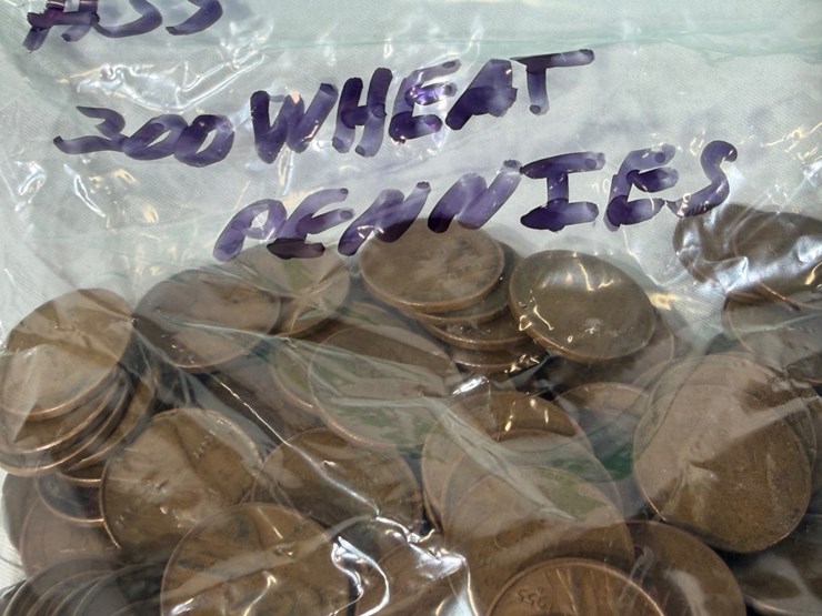 #00631-•-(300)-wheat-pennies-image-8