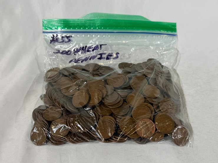#00631-•-(300)-wheat-pennies-image-3
