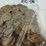 #00632-•-(300)-wheat-pennies-image-19