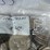 #00629-•-(100)-ike-dollars-image-8
