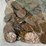 #00632-•-(300)-wheat-pennies-image-16
