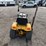 international-cub-image-4