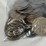 #00629-•-(100)-ike-dollars-image-13