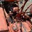 1955-allis-chalmers-wd45-image-14