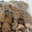 #00626-•-(300)-wheat-pennies-image-10