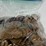 #00632-•-(300)-wheat-pennies-image-9