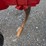 7-shank-ripper-image-10