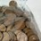 #00626-•-(300)-wheat-pennies-image-20