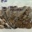 #00636-•-(300)-wheat-pennies-image-3