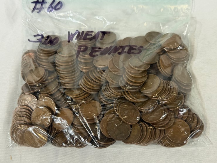 #00636-•-(300)-wheat-pennies-image-3