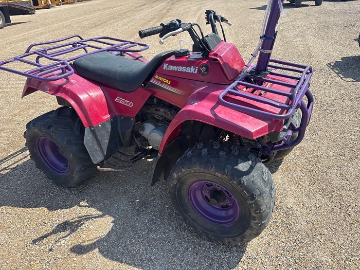 kawasaki-bayou-250-image-3