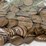 #00631-•-(300)-wheat-pennies-image-16