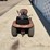 wheelhorse-raider-10-image-3