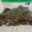 #00631-•-(300)-wheat-pennies-image-14