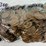 #00632-•-(300)-wheat-pennies-image-5