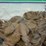 #00632-•-(300)-wheat-pennies-image-18