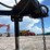 utility-flatbed-image-5
