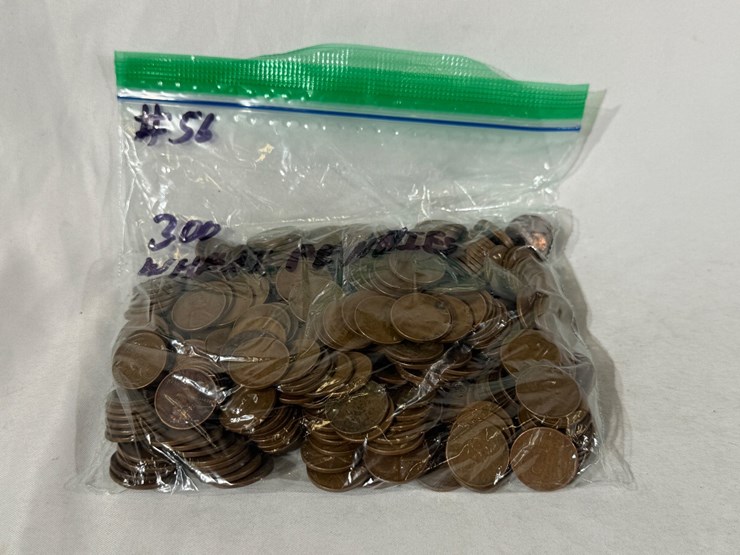 #00632-•-(300)-wheat-pennies-image-10