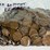 #00626-•-(300)-wheat-pennies-image-11