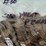 #00636-•-(300)-wheat-pennies-image-7