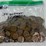 #00626-•-(300)-wheat-pennies-image-3