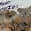 #00631-•-(300)-wheat-pennies-image-9