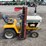 international-cub-image-6
