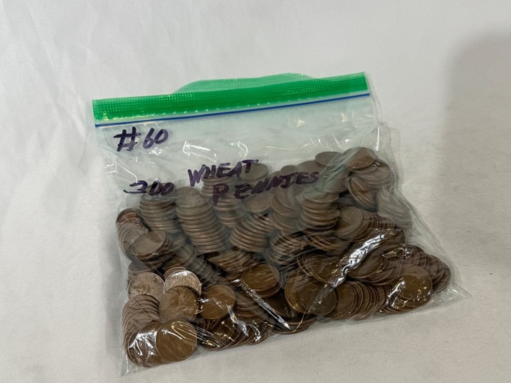 #00636-•-(300)-wheat-pennies-image-2